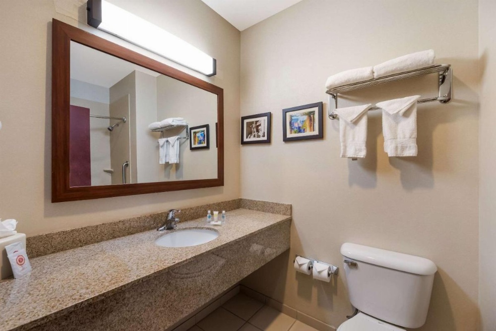 Comfort Inn And Suites Image 25